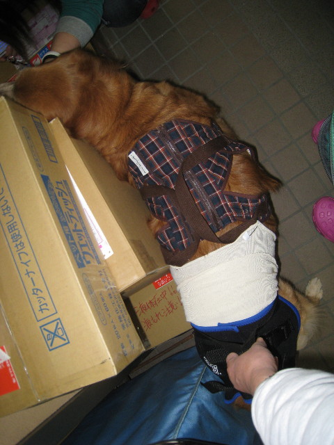 ファイル 676-4.jpg