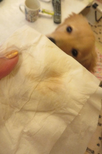 ファイル 6760-1.jpg