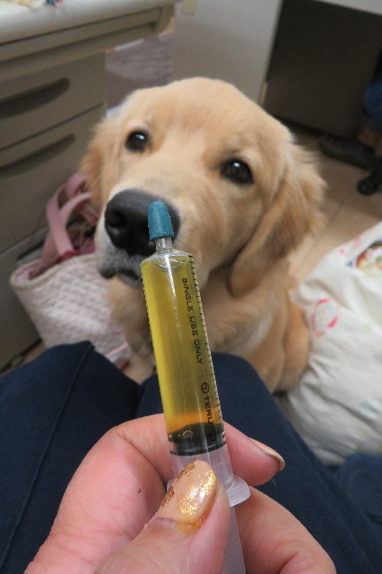 ファイル 6760-2.jpg