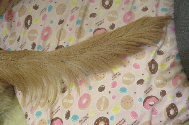 ファイル 6760-4.jpg