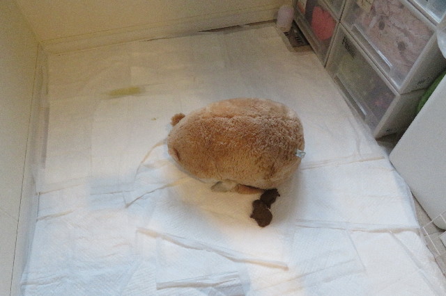 ファイル 6760-5.jpg