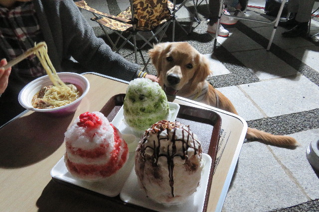 ファイル 6761-2.jpg