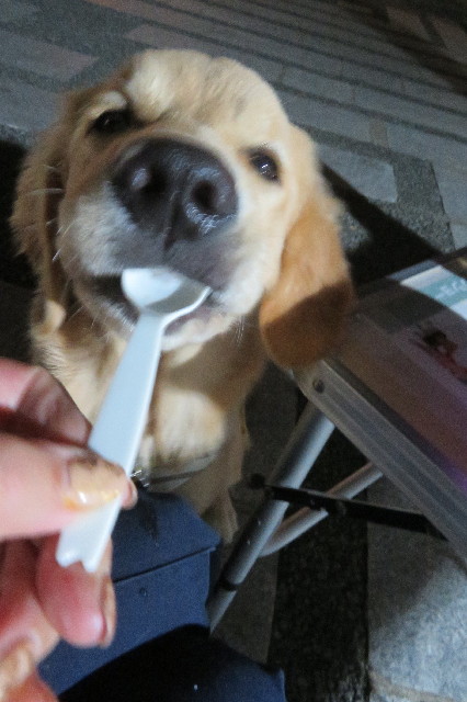 ファイル 6761-3.jpg