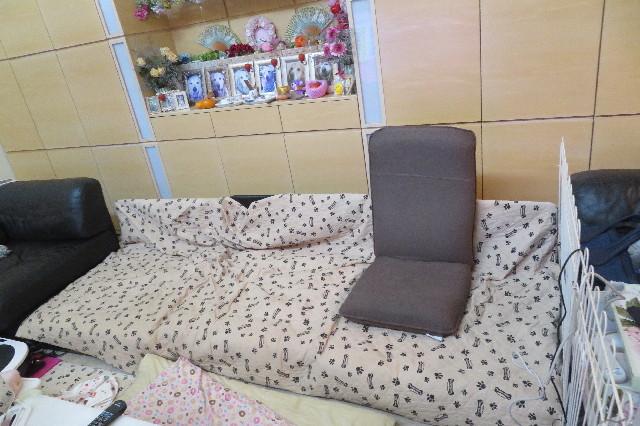 ファイル 6763-1.jpg