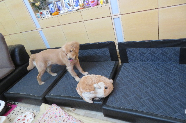 ファイル 6763-2.jpg