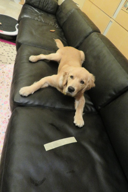 ファイル 6763-3.jpg