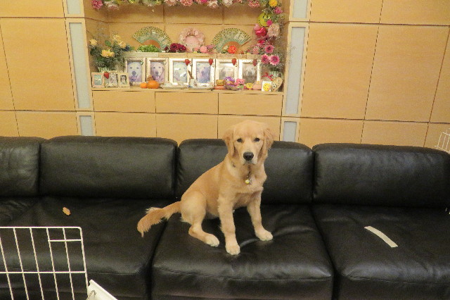 ファイル 6763-4.jpg