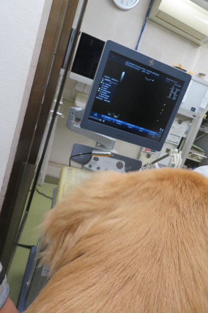 ファイル 6764-3.jpg