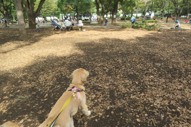 ファイル 6765-1.jpg