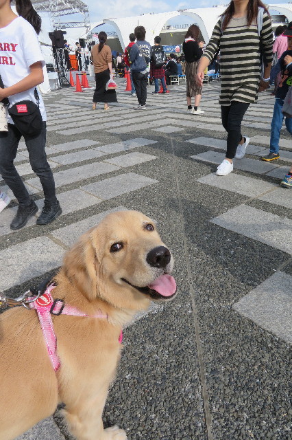 ファイル 6765-3.jpg