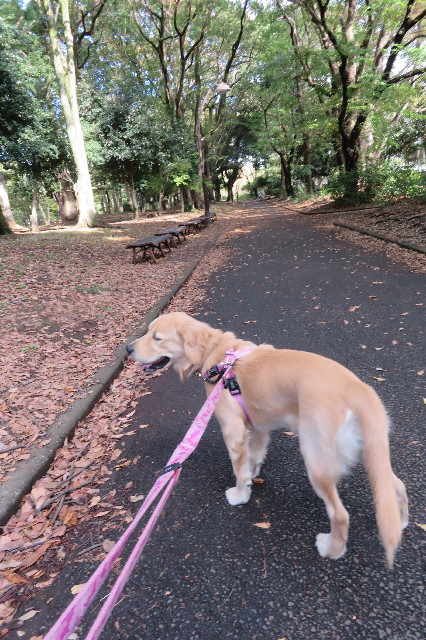 ファイル 6766-3.jpg