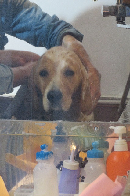 ファイル 6767-1.jpg