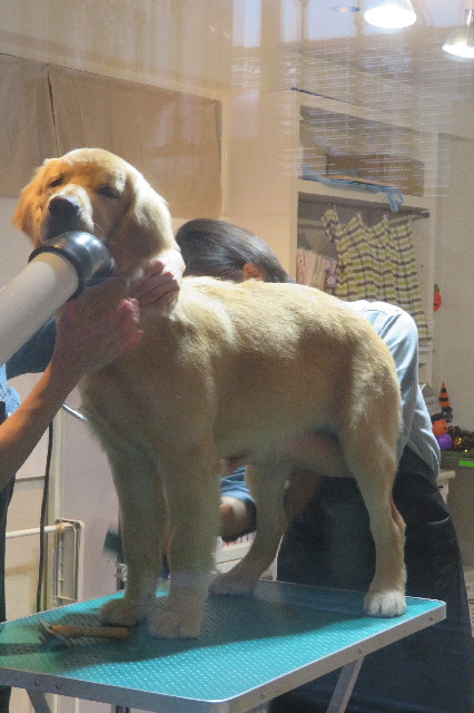 ファイル 6767-3.jpg