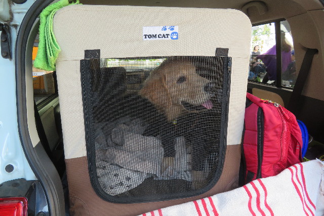 ファイル 6768-1.jpg