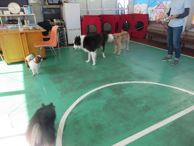 ファイル 6768-2.jpg