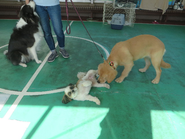 ファイル 6768-3.jpg