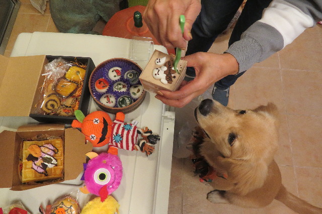 ファイル 6769-2.jpg