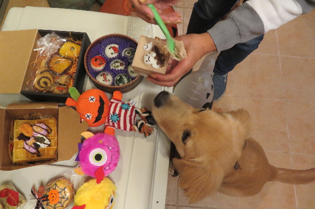 ファイル 6769-3.jpg