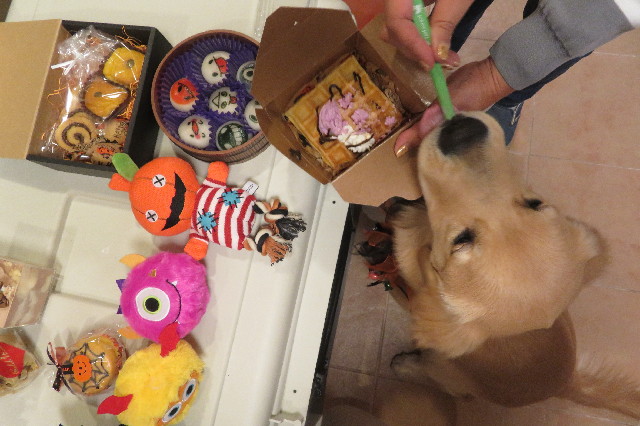 ファイル 6769-4.jpg