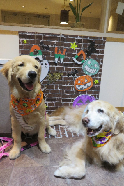 ファイル 6769-5.jpg