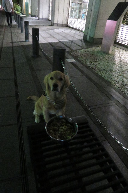 ファイル 6770-2.jpg