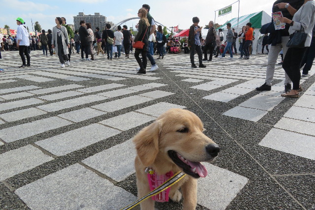 ファイル 6771-4.jpg