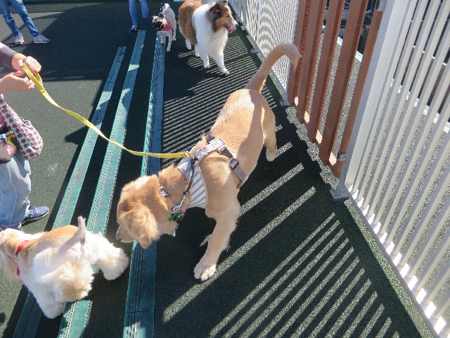 ファイル 6772-2.jpg