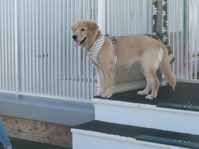 ファイル 6772-3.jpg