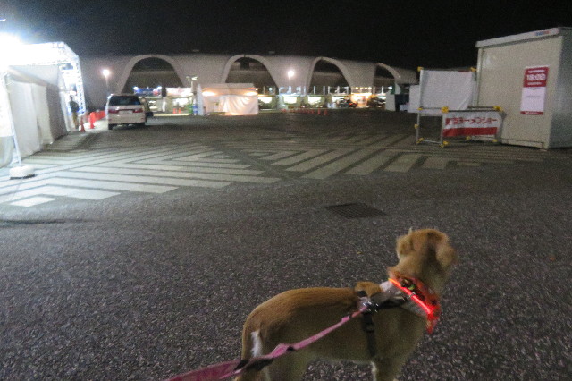 ファイル 6773-1.jpg