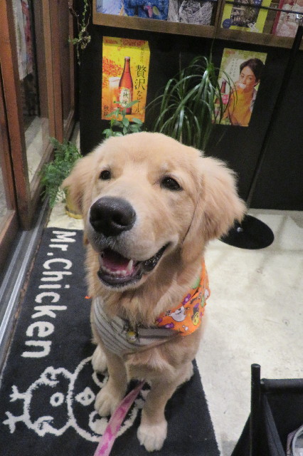 ファイル 6773-2.jpg