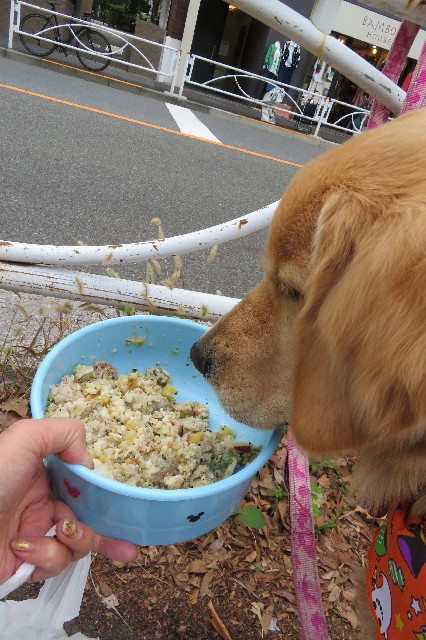 ファイル 6774-1.jpg