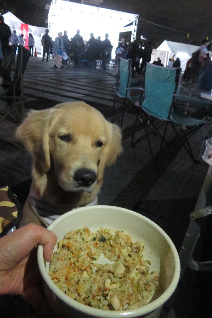 ファイル 6776-4.jpg