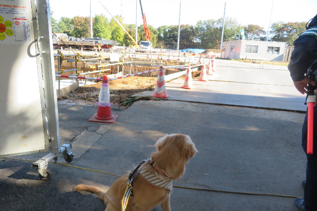 ファイル 6777-3.jpg