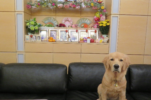 ファイル 6778-5.jpg