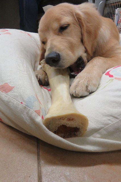 ファイル 6779-3.jpg