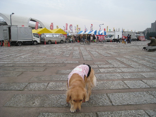 ファイル 678-1.jpg