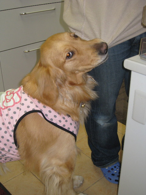 ファイル 678-4.jpg