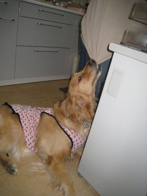 ファイル 678-5.jpg