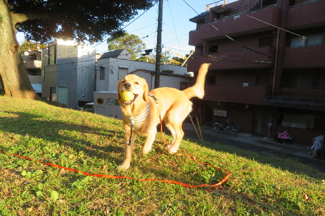 ファイル 6780-3.jpg