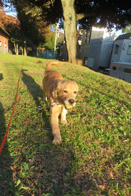 ファイル 6780-4.jpg