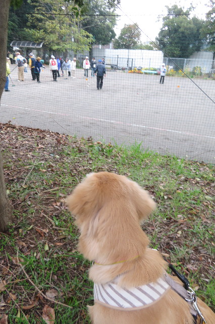 ファイル 6781-5.jpg