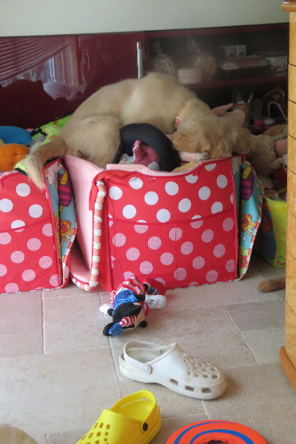 ファイル 6784-2.jpg