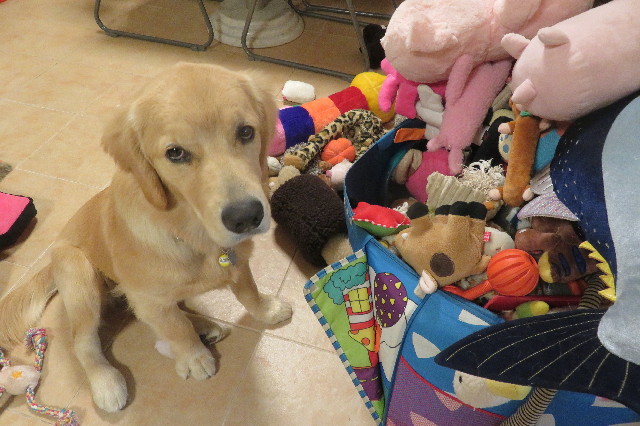 ファイル 6784-3.jpg