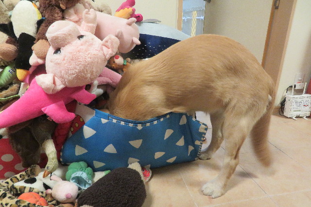 ファイル 6784-4.jpg