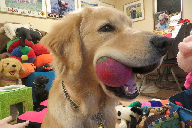 ファイル 6784-5.jpg