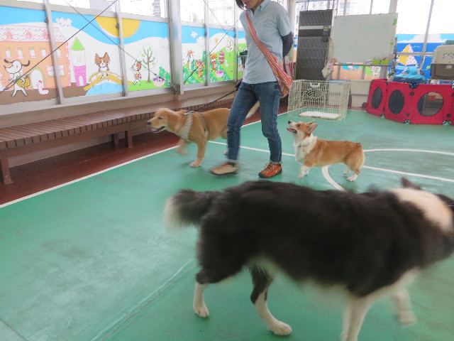 ファイル 6785-1.jpg