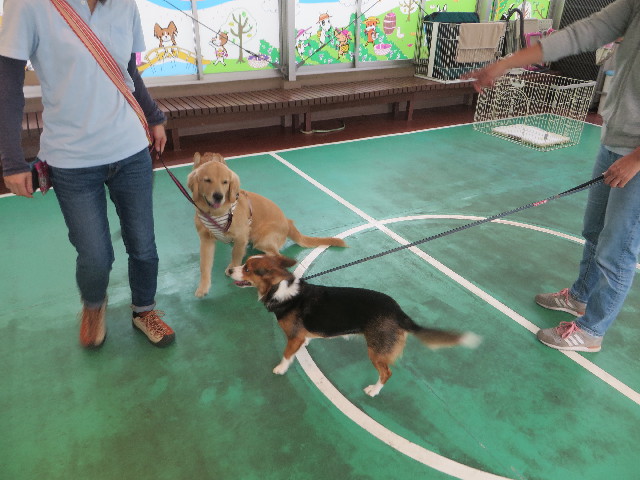 ファイル 6785-3.jpg