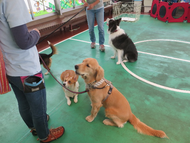 ファイル 6785-5.jpg