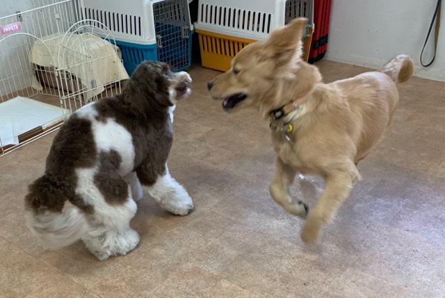 ファイル 6786-4.jpg