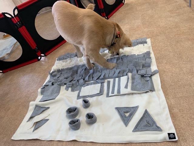 ファイル 6786-5.jpg